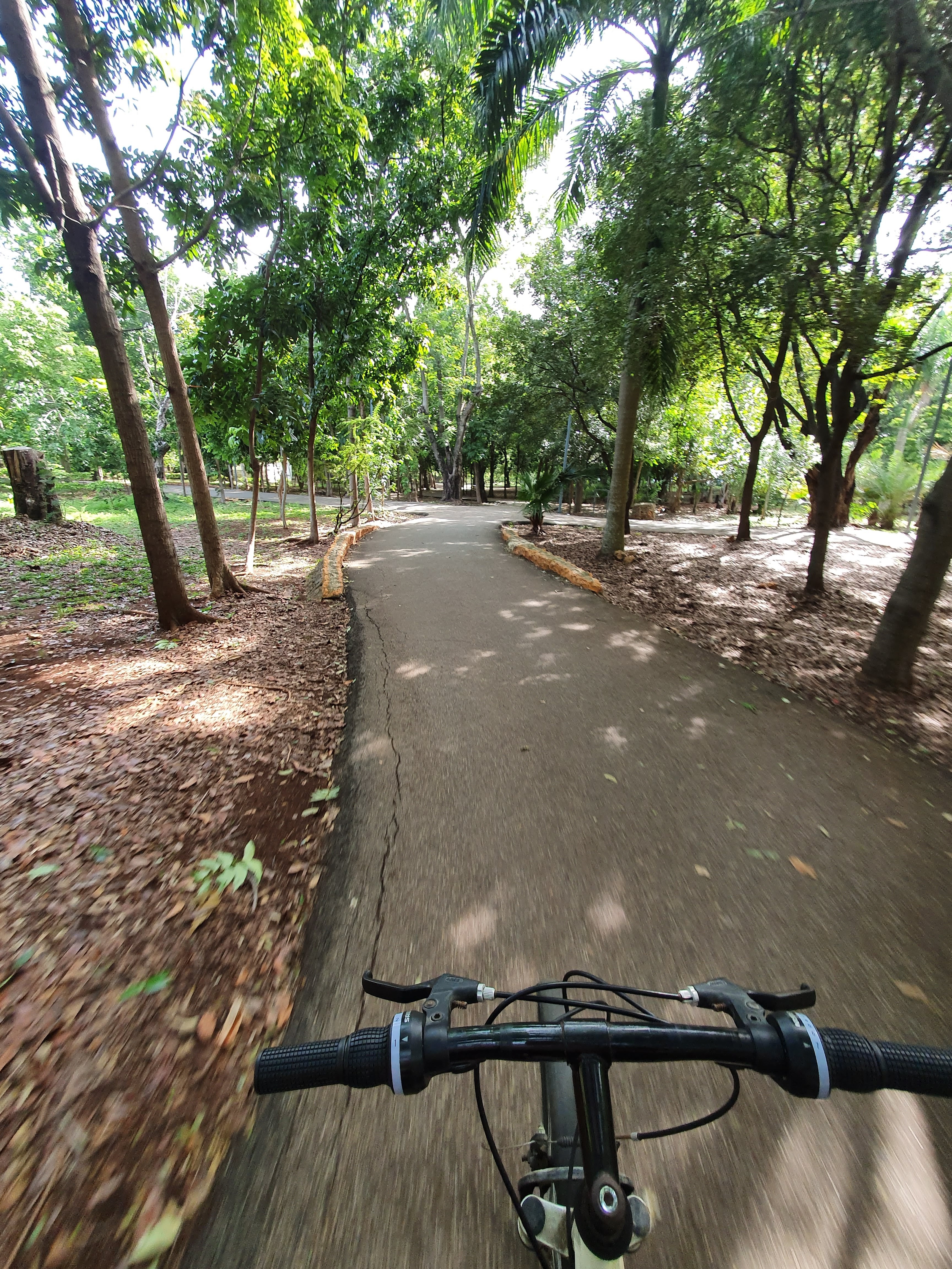 Cultura del parque